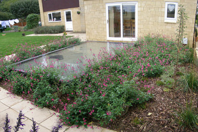 New garden outside new Dining room extension