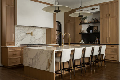 Kitchen - transitional kitchen idea in Houston
