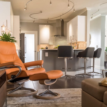 Family Room Redesign