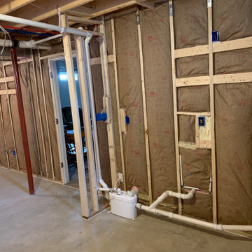Ann Arbor - Basement Finish