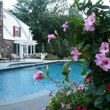 Pools & Water Features