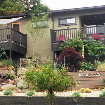 Conscious Stream Scape- Silverlake