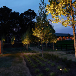 Landscape Lighting Ideas - Landscape Lighting