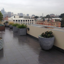 Roslyn Rooftop