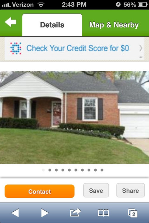 To remove or not to remove bushes?