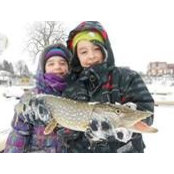 Maxime Faubert's photo
