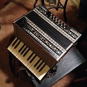 Lori Loessin's photo
