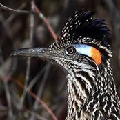 Karen Cowles's photo