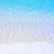 Alexis Roselle's photo