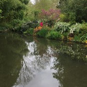 Patty Zantos's photo