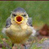 Kerry Moore's photo