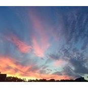 Montana Tornatore's photo
