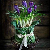 Sally Valovic's photo