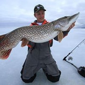 Colton Kramer's photo