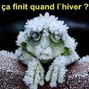Diane Bédard's photo