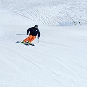 Bruno Muscolo's photo