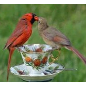 Miranda McAdams's photo