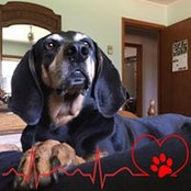 Janet Hurne's photo