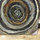 webuser_15745