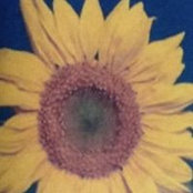 Denise McGovern's photo
