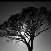 David Cellarierさんの写真