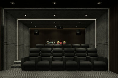 Modern Home Theatre design