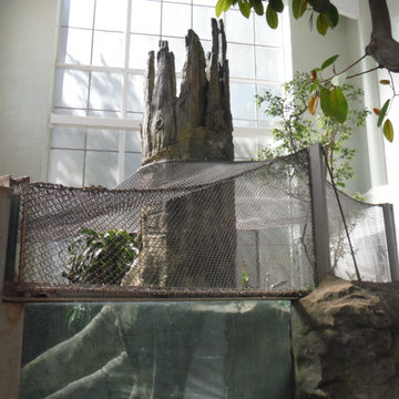 San Francisco Zoo - Tropical Forest (2015)