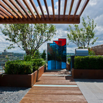 Contemporary Penthouse Roof Terrace by Aralia 'Chelsea Creek'