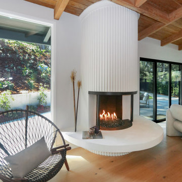 Stylish Mid-Century Modern