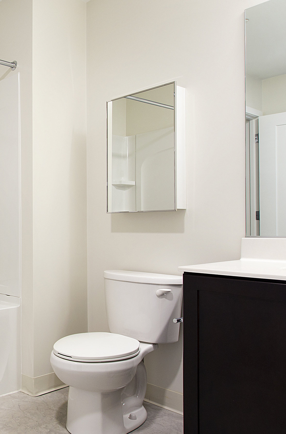 Deluxe Series Medicine Cabinet, 16"x30", Stainless Steel Frame, Surface Mount