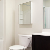 Deluxe Series Medicine Cabinet, 16"x30", Stainless Steel Frame, Surface Mount