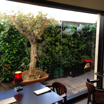 Muro verde MINIGARDEN
