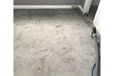 Before & During Carpet Cleaning in Brighton, MA