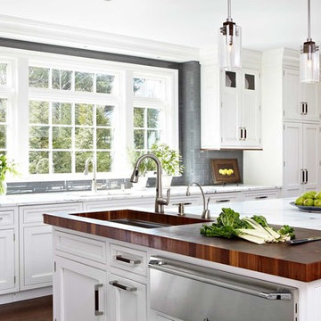 Beautifull White Transitional Kitchen