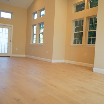 Alexandria, VA: Recreation Room Addition