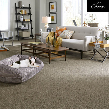 Carpet
