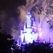 Rose McCoy's photo