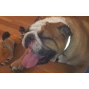 Mike L's photo