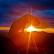 Stephen Palm's photo