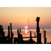 Wendy Ng's photo