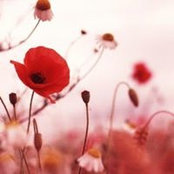 Amanda Stubbert's photo