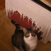 Maria Grieco's photo