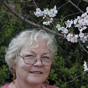 Foto von Margot Blevins