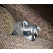 Debby Tompkins's photo