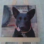 Joanne Profke's photo
