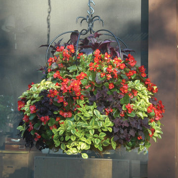 Hanging Baskets