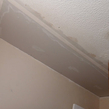 Mitchell Ceiling Repair