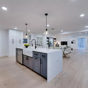 Home Remodel