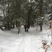 Marlene Mackie's photo