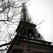 McKenzie Stewart's photo